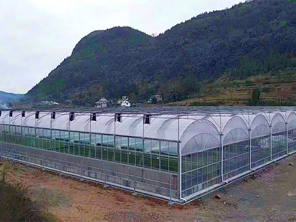 连栋温室大棚