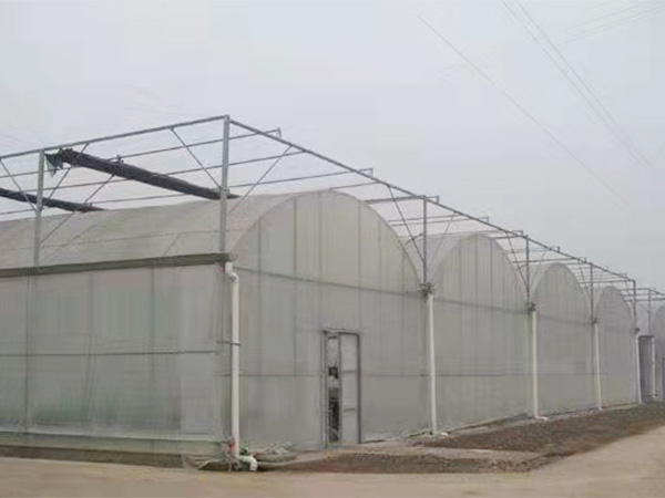 连栋温室大棚